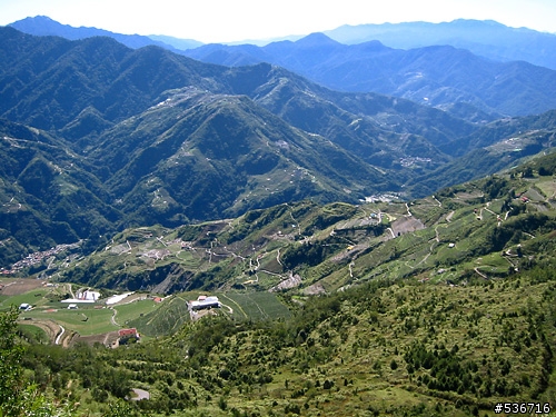 =11月13日生日 我在往武嶺的路上=
