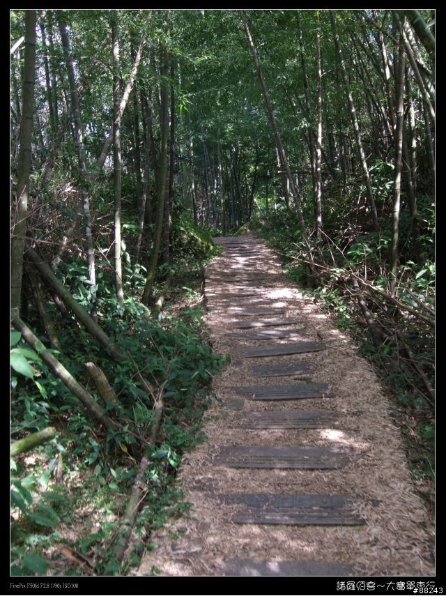 [[小百岳]雲林大尖山～標高1300公尺