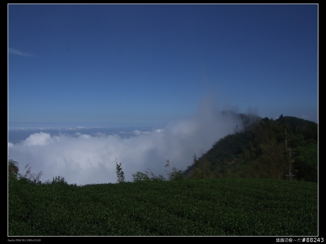 [[小百岳]雲林大尖山～標高1300公尺