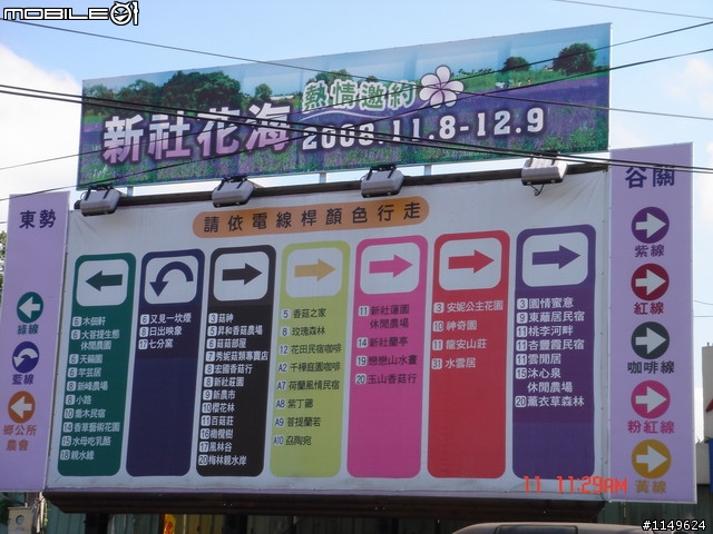 【照片欣賞&路程解說】2008 新社花海季 一日遊