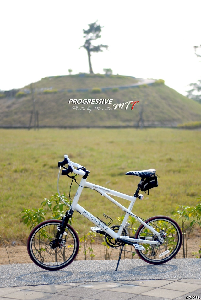 跨界休旅 - 18速Progressive 20MTT