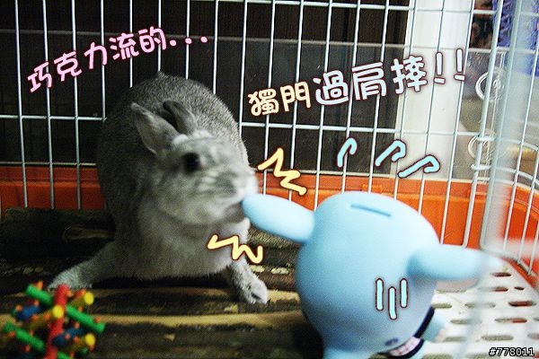 新朋友?照顧一下!