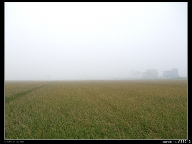 [[小百岳]雲林大尖山～標高1300公尺