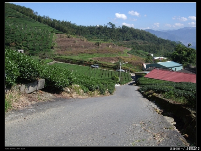 [[小百岳]雲林大尖山～標高1300公尺