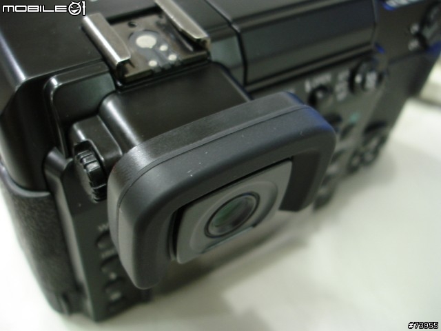 簡單分享 - 觀景窗放大器與百元背帶 for Panasonic L1