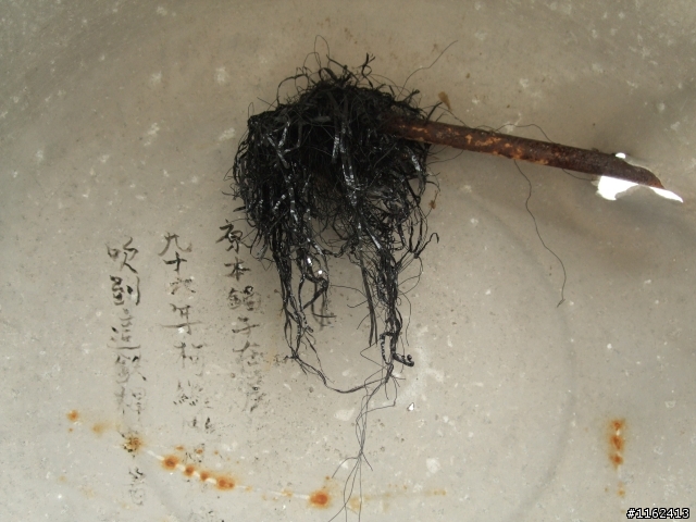 2008.11.24 九份二山