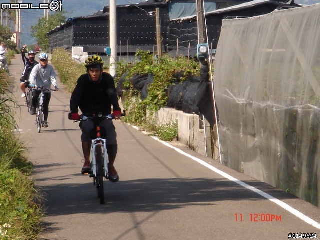 【照片欣賞&路程解說】2008 新社花海季 一日遊