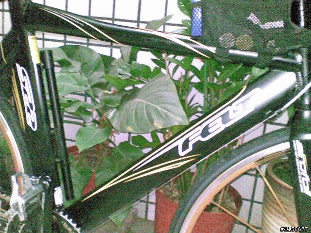 我的單車(FELT)