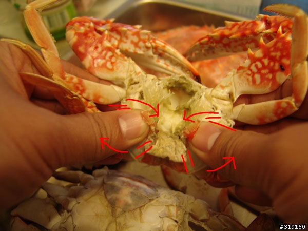 秋蟹肥美-變身老饕分享全紀錄