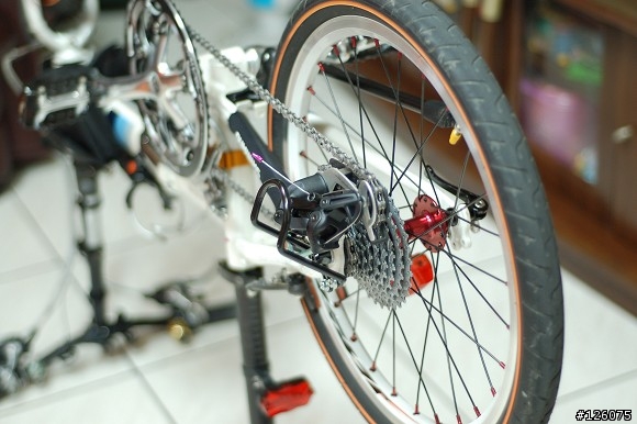 DAHON SP18 心中惡魔三起之飛輪改裝篇
