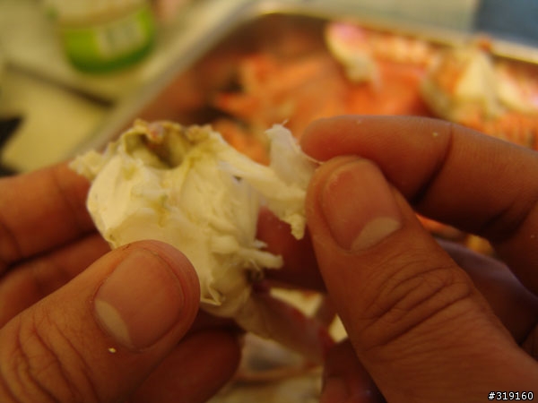 秋蟹肥美-變身老饕分享全紀錄