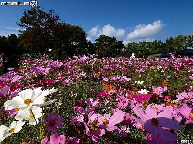 輕便廣角大魄力「Olympus ZUIKO DIGITAL ED 9-18mm F4.0-5.6」(含實拍圖)