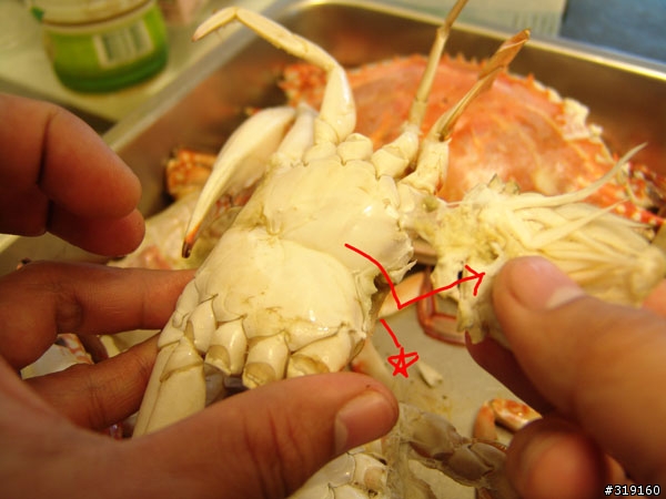 秋蟹肥美-變身老饕分享全紀錄