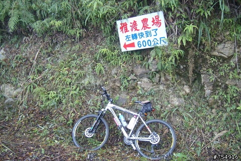 一路爬坡爬到底的雅渡(夫婦山)