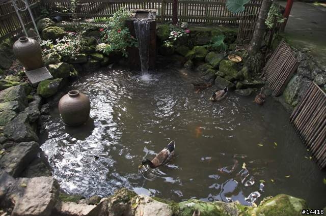 沐春溫泉養生會館