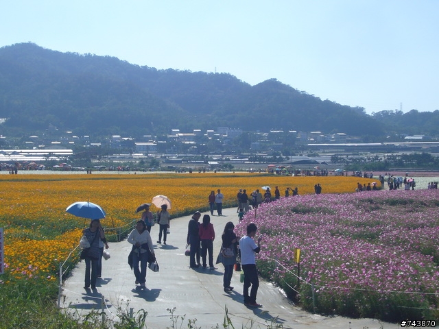 花現快樂~~SP8遊新社