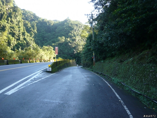 玉桂嶺、東勢格農路單車漫遊採野薑花