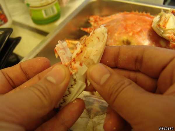 秋蟹肥美-變身老饕分享全紀錄