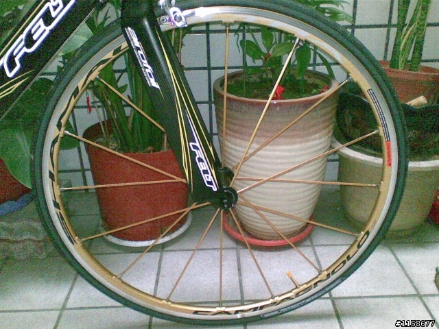 我的單車(FELT)