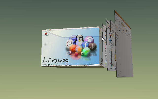 玩樂UBUNTU 8.10之3D立體桌面特效