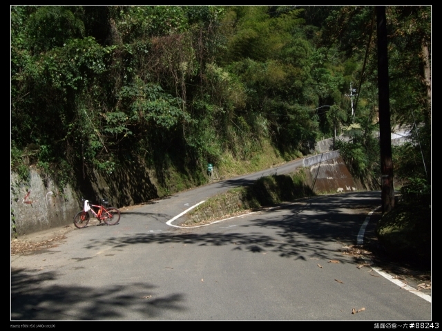 [[小百岳]雲林大尖山～標高1300公尺