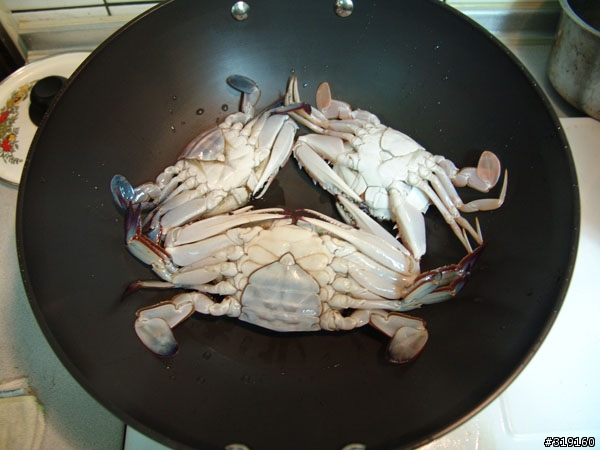 秋蟹肥美-變身老饕分享全紀錄