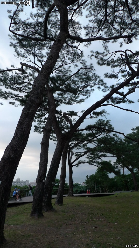 好玩~刺激~又有趣的花蓮單車二日遊 4+52