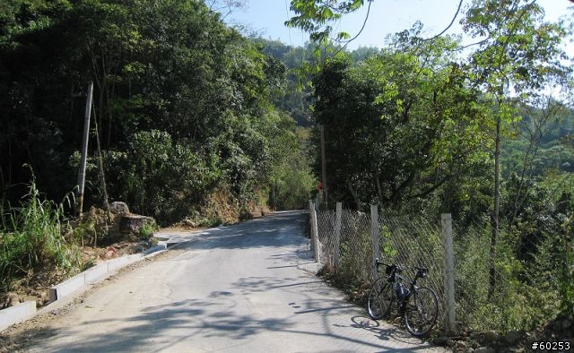 南投縣 桃米生態村→投64→蓮華池→131縣道→147縣道→投68→桃米生態村
