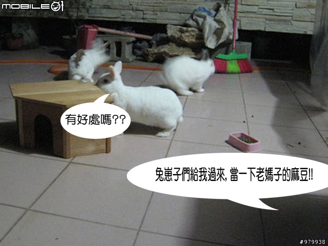 我點. 我碰. 我搓搓搓 全觸碰NOKIA5800拍照實測