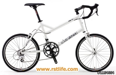 LOUIS GARNEAU MV3S和GIANT FLIGHT MINI 0該選哪一台??