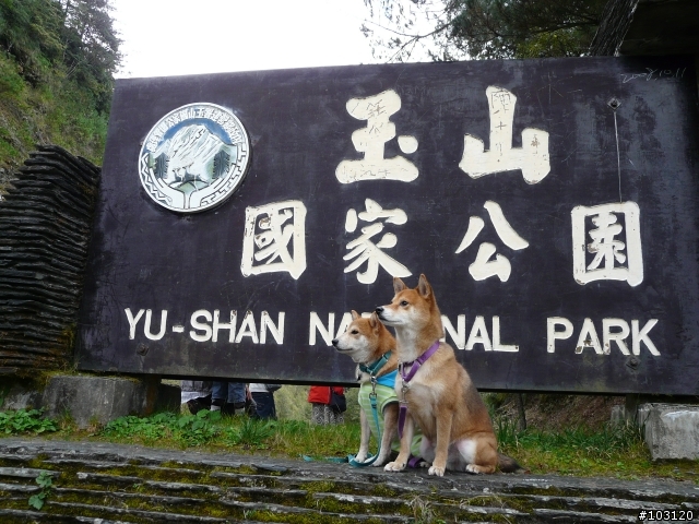 9天8夜-大學荒唐四。熱血環島影片剪輯(HD畫質影片20090701更新)