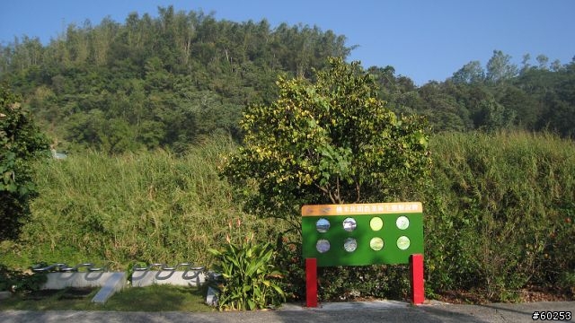 南投縣 桃米生態村→投64→蓮華池→131縣道→147縣道→投68→桃米生態村