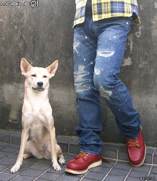 木村拓哉廣告款 日版levis 08501-0128實穿分享