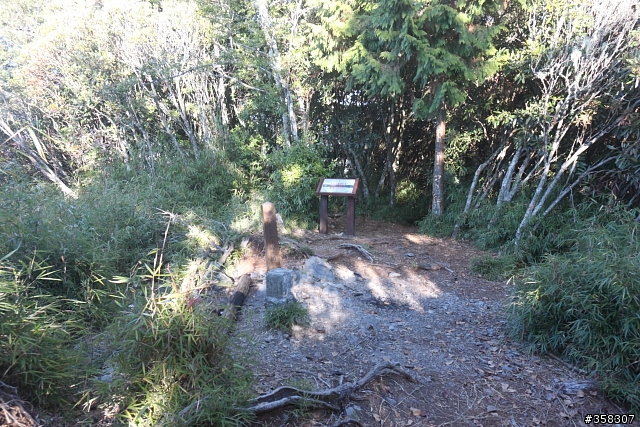 和平:谷關七雄~馬崙山