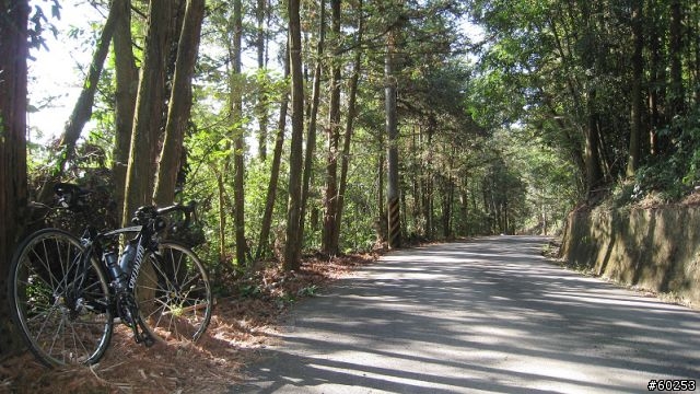 南投縣 桃米生態村→投64→蓮華池→131縣道→147縣道→投68→桃米生態村