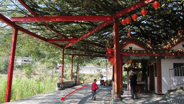 南投縣 桃米生態村→投64→蓮華池→131縣道→147縣道→投68→桃米生態村