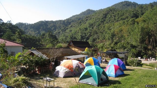 南投縣 桃米生態村→投64→蓮華池→131縣道→147縣道→投68→桃米生態村