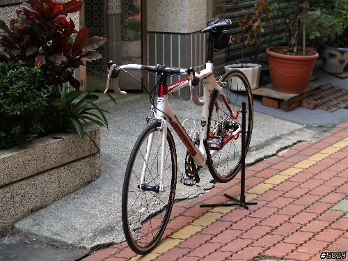 <車車分享>搶救貧窮大作戰BERGAMONT Dolce Team