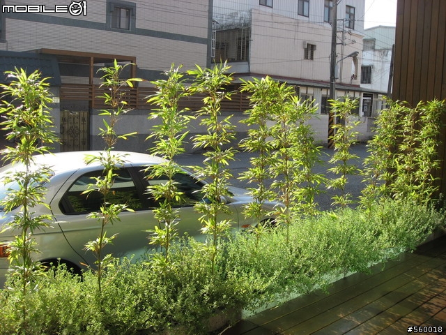 分享!花蓮【一間民宿】