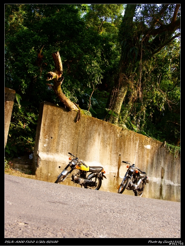 (分享)老車不死~只怕凋零- SYM SS80