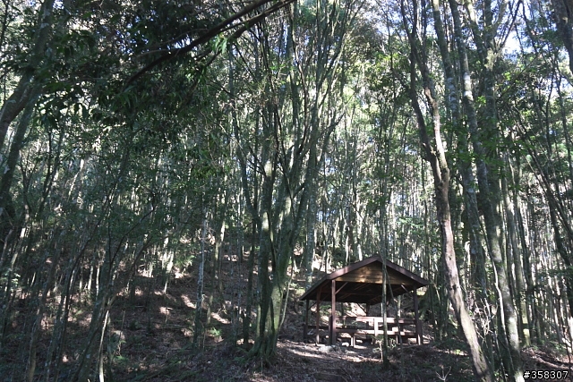 和平:谷關七雄~馬崙山