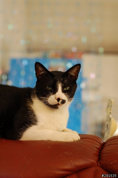 Nikon 50mm F1.4D 貼圖分享(原圖無後製)