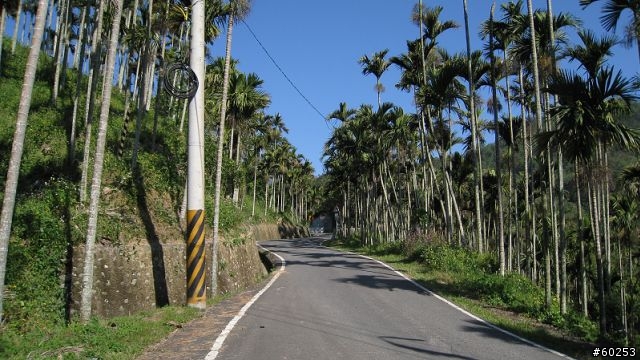 南投縣 桃米生態村→投64→蓮華池→131縣道→147縣道→投68→桃米生態村