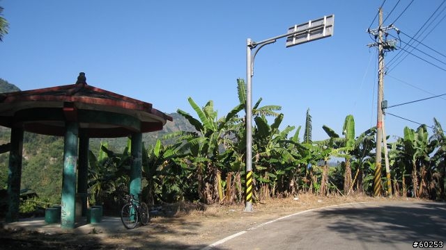 南投縣 桃米生態村→投64→蓮華池→131縣道→147縣道→投68→桃米生態村