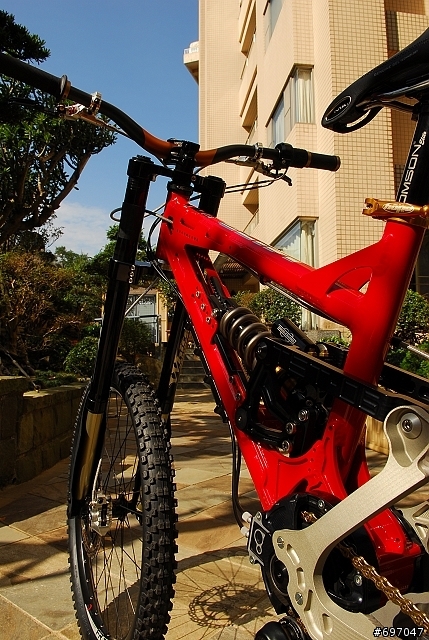 【分享】分享喜悅 Nicolai TST