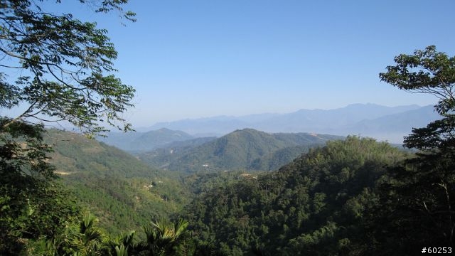 南投縣 桃米生態村→投64→蓮華池→131縣道→147縣道→投68→桃米生態村