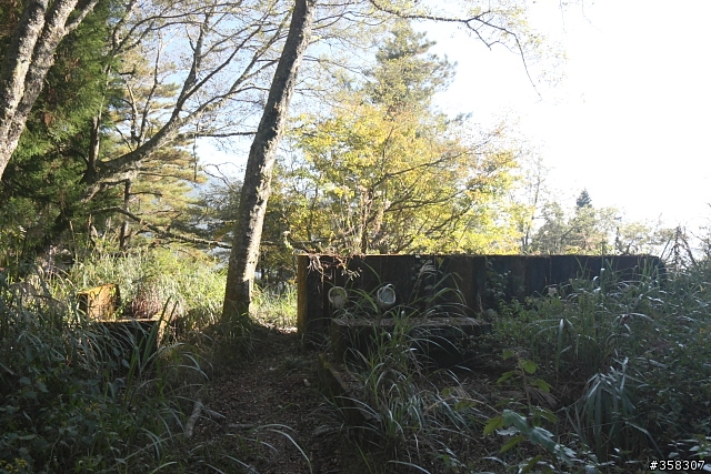 和平:谷關七雄~馬崙山