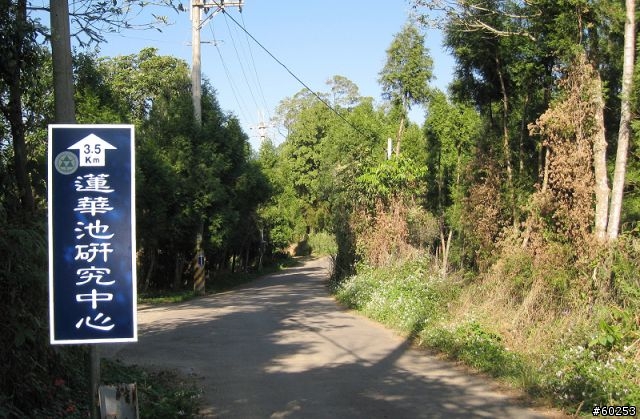 南投縣 桃米生態村→投64→蓮華池→131縣道→147縣道→投68→桃米生態村
