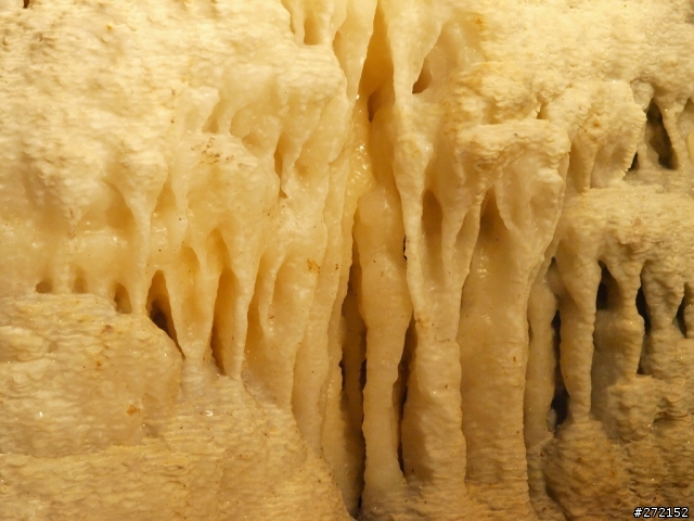 提早的禮物&遲到的開箱