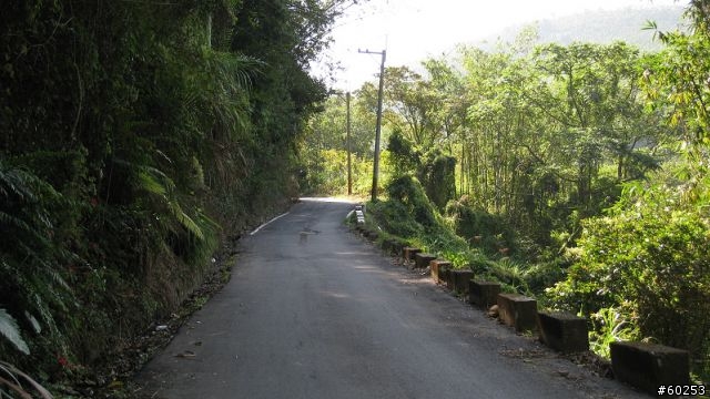 南投縣 桃米生態村→投64→蓮華池→131縣道→147縣道→投68→桃米生態村